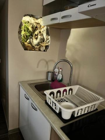 Salt & Soul Apartment Senj  Bagian luar foto